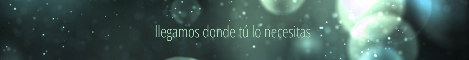 Tu flota en las mejores manos