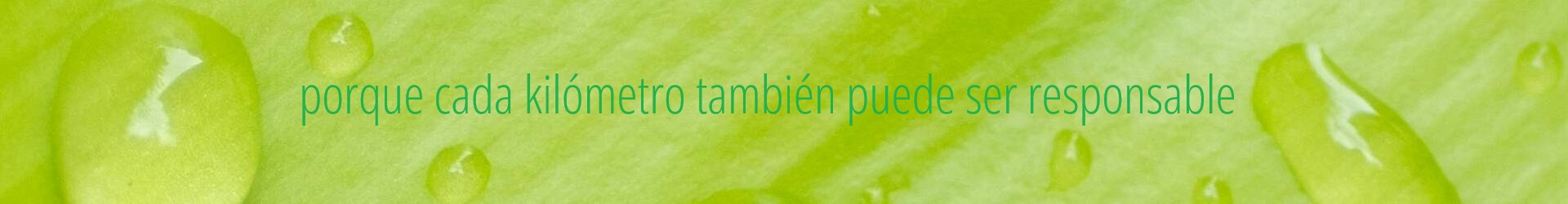 Tu flota en las mejores manos